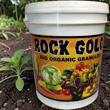 Picture of ROCK GOLD