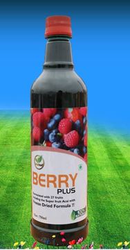 Picture of BERRY PLUS