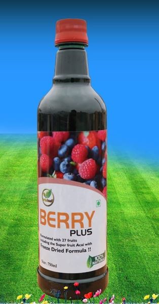 Picture of BERRY PLUS