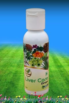 Picture of LIVER CARE