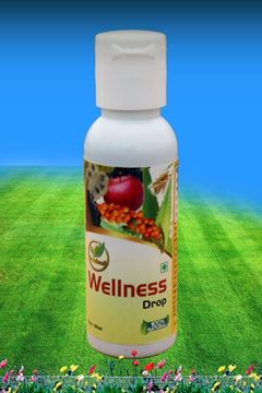 Picture of WELLNESS