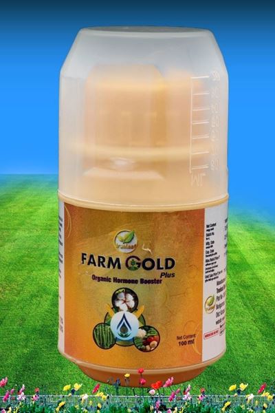 Picture of FARM GOLD
