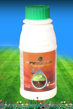 Picture of NIRVANA GOLD