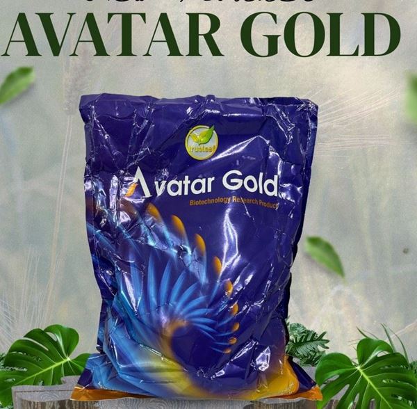 Picture of AVATAR GOLD