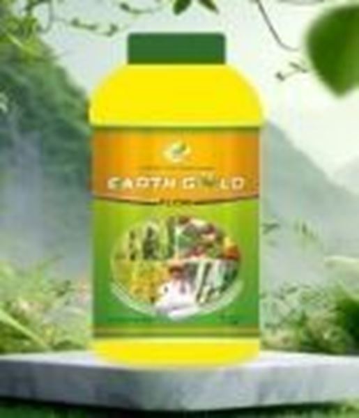 Picture of EARTH GOLD Package