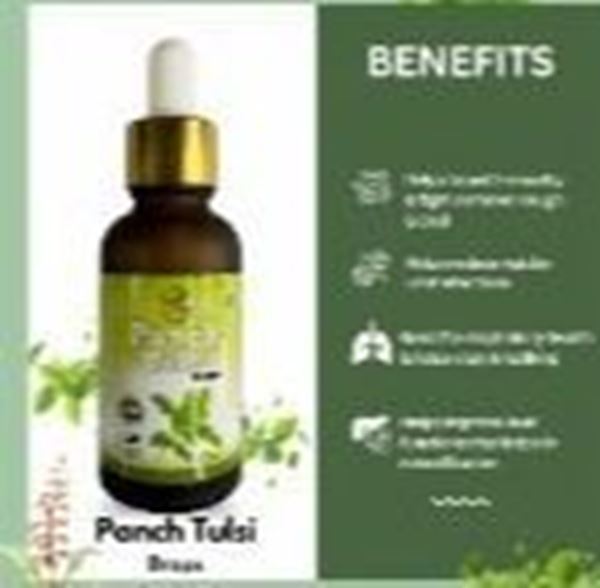Picture of PANCH TULSI